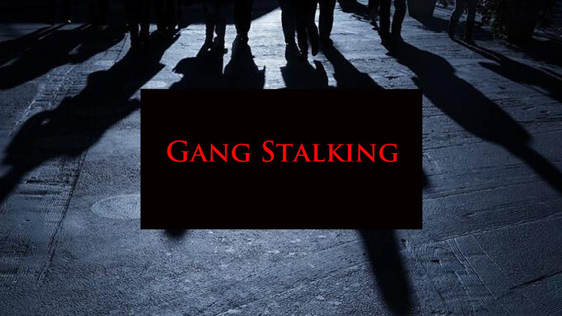 Gang Stalking: who are the “REAL” targets?